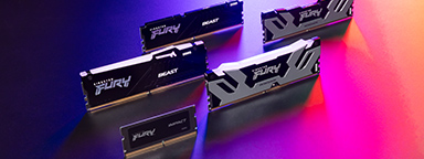 Kingston FURY 超频 RAM 模组