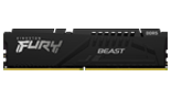 Beast DDR5